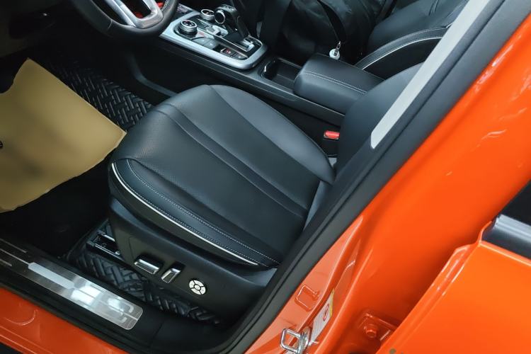 Used Tank 300 2021 City Edition 2.0T—Truly Stylish Left Front Seat