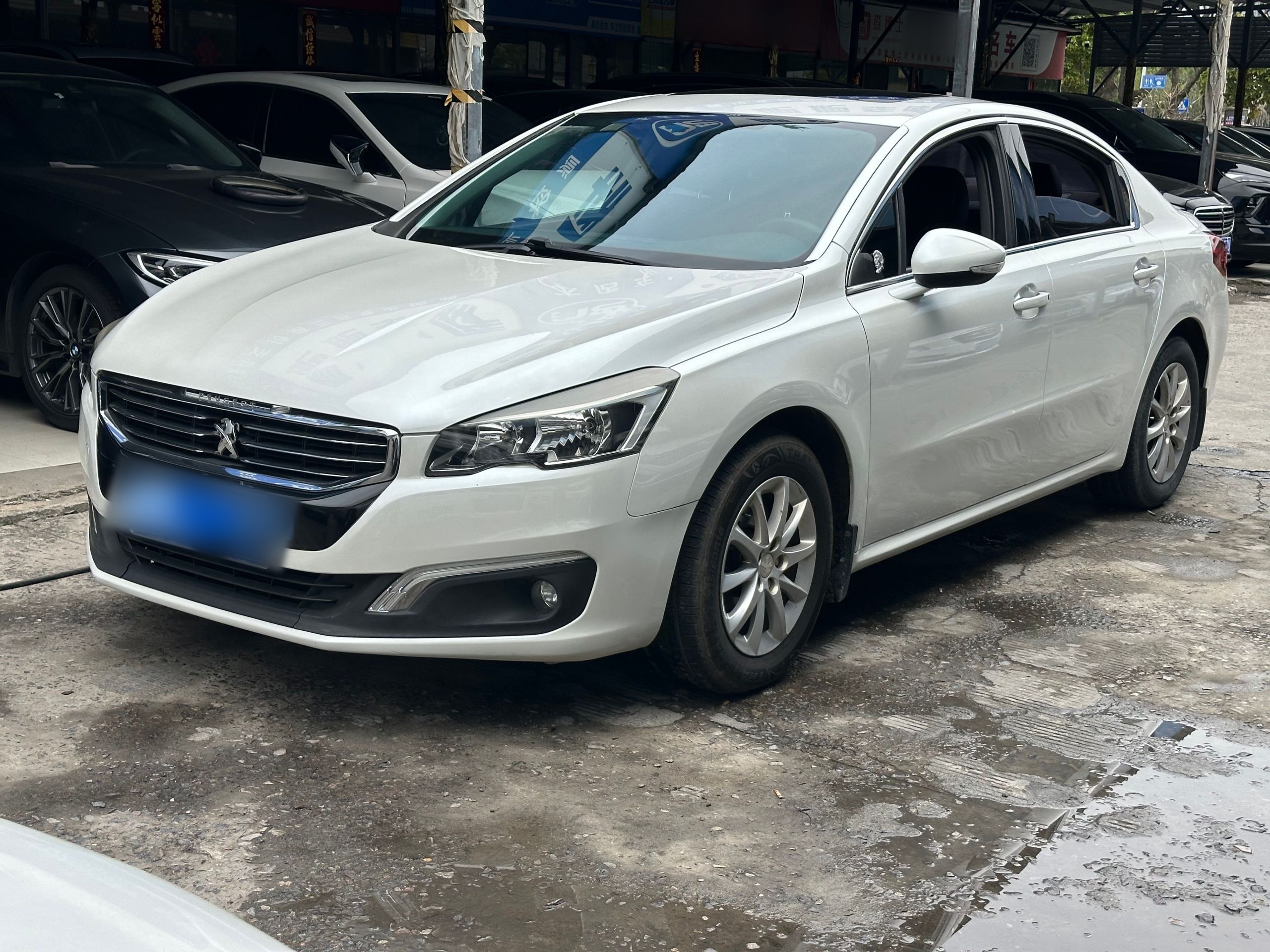 Parte inferior delantera