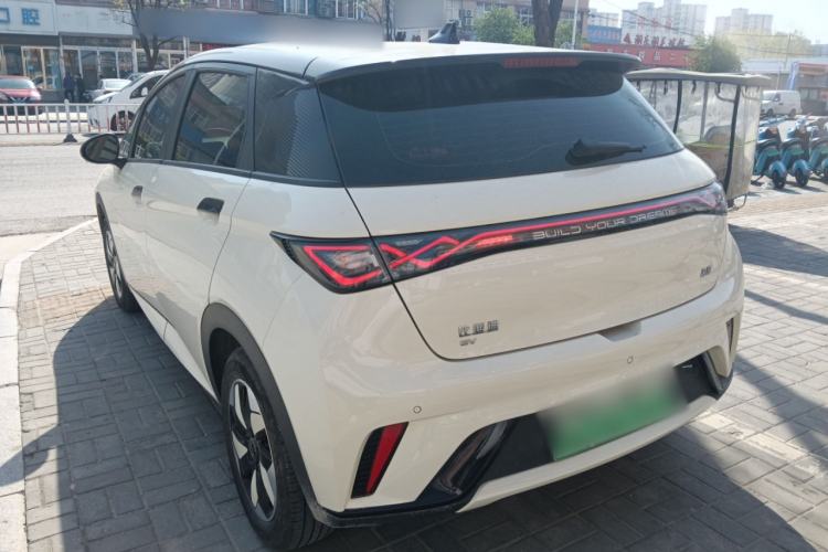 Used BYD Dolphin 2024 Honor Edition 420km Freedom Version