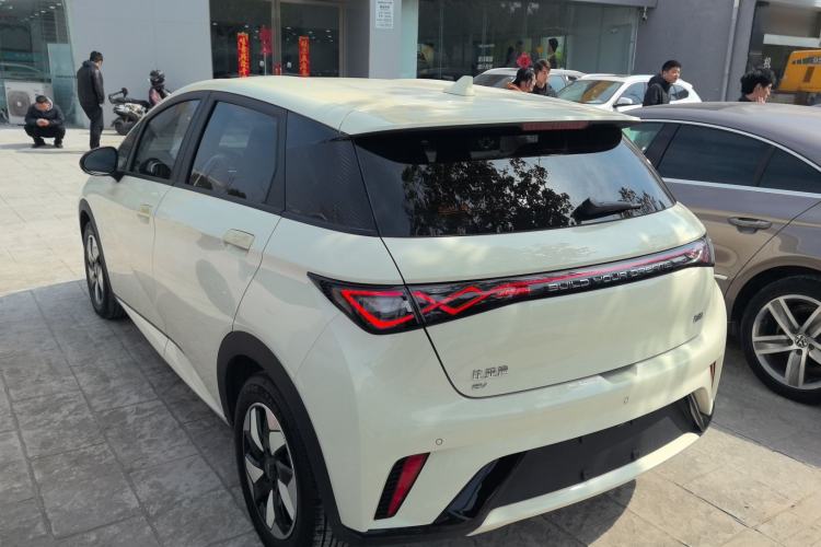 Used BYD Dolphin 2024 Honor Edition 420km Freedom Version