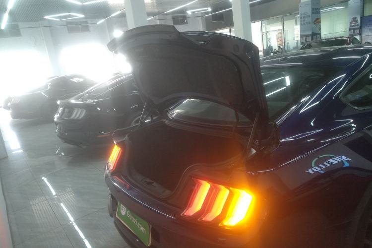 Used Ford Mustang 2019 2.3L EcoBoost
