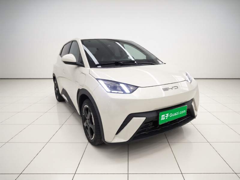Used BYD Seagull 2023 Free Edition — 3