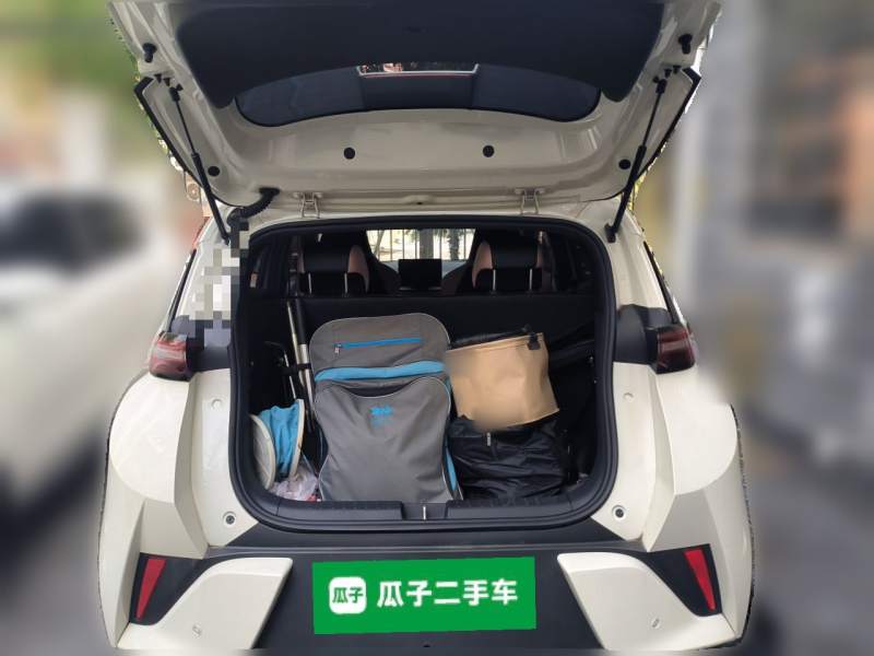 Used BYD Seagull 2025 Intelligent Driving Version 305 km Dynamic Edition — 15
