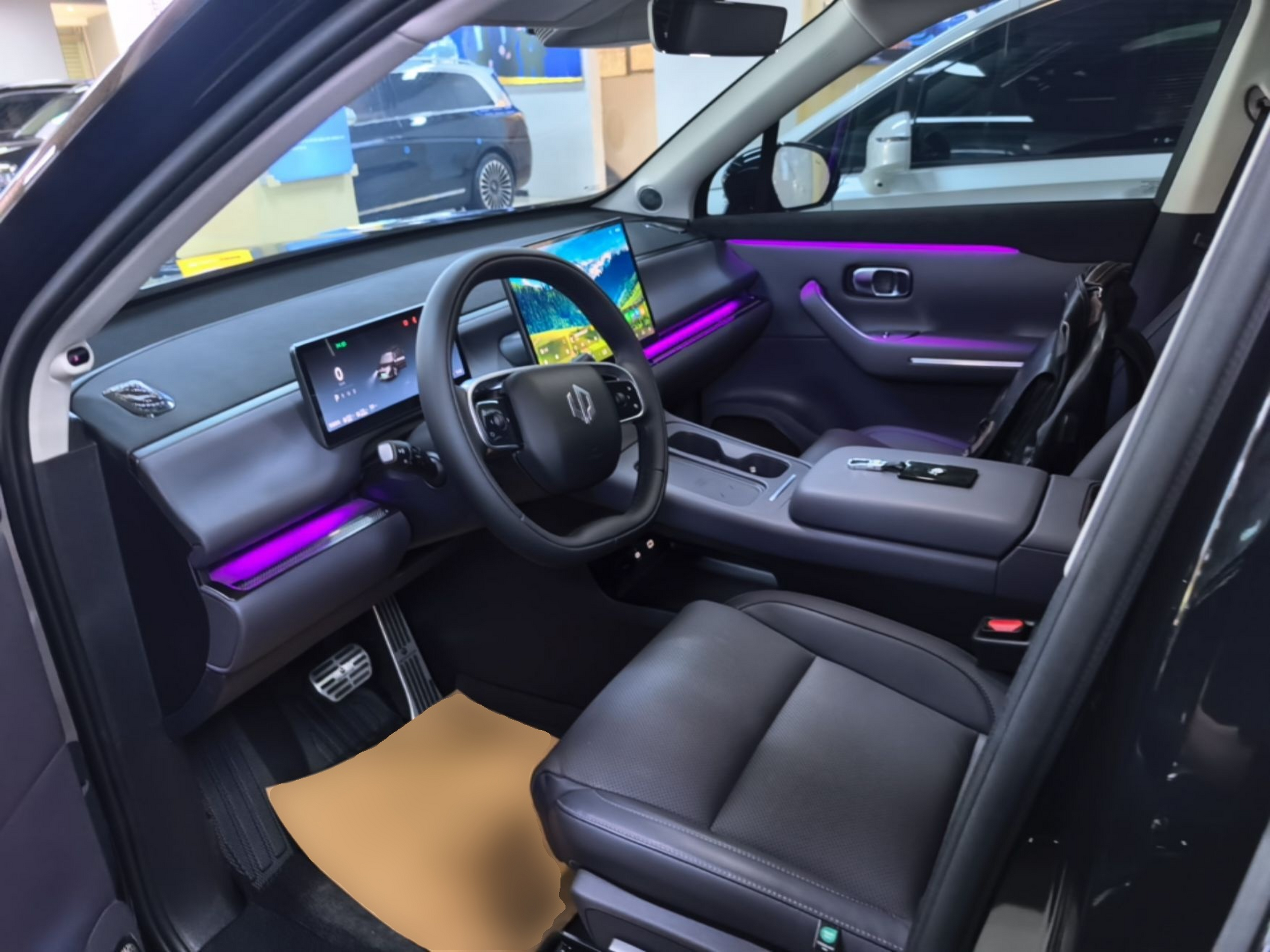 Interior delantero