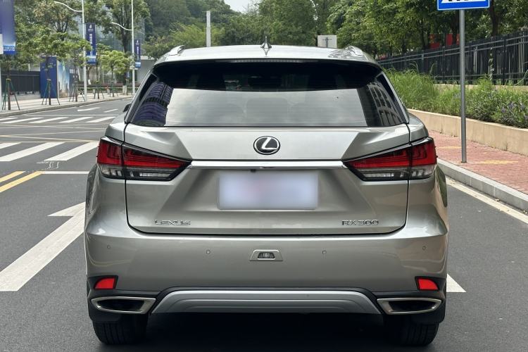 Used Lexus RX 2020 Revised Version 300 Two-Wheel Drive Elite Edition Exterior 4