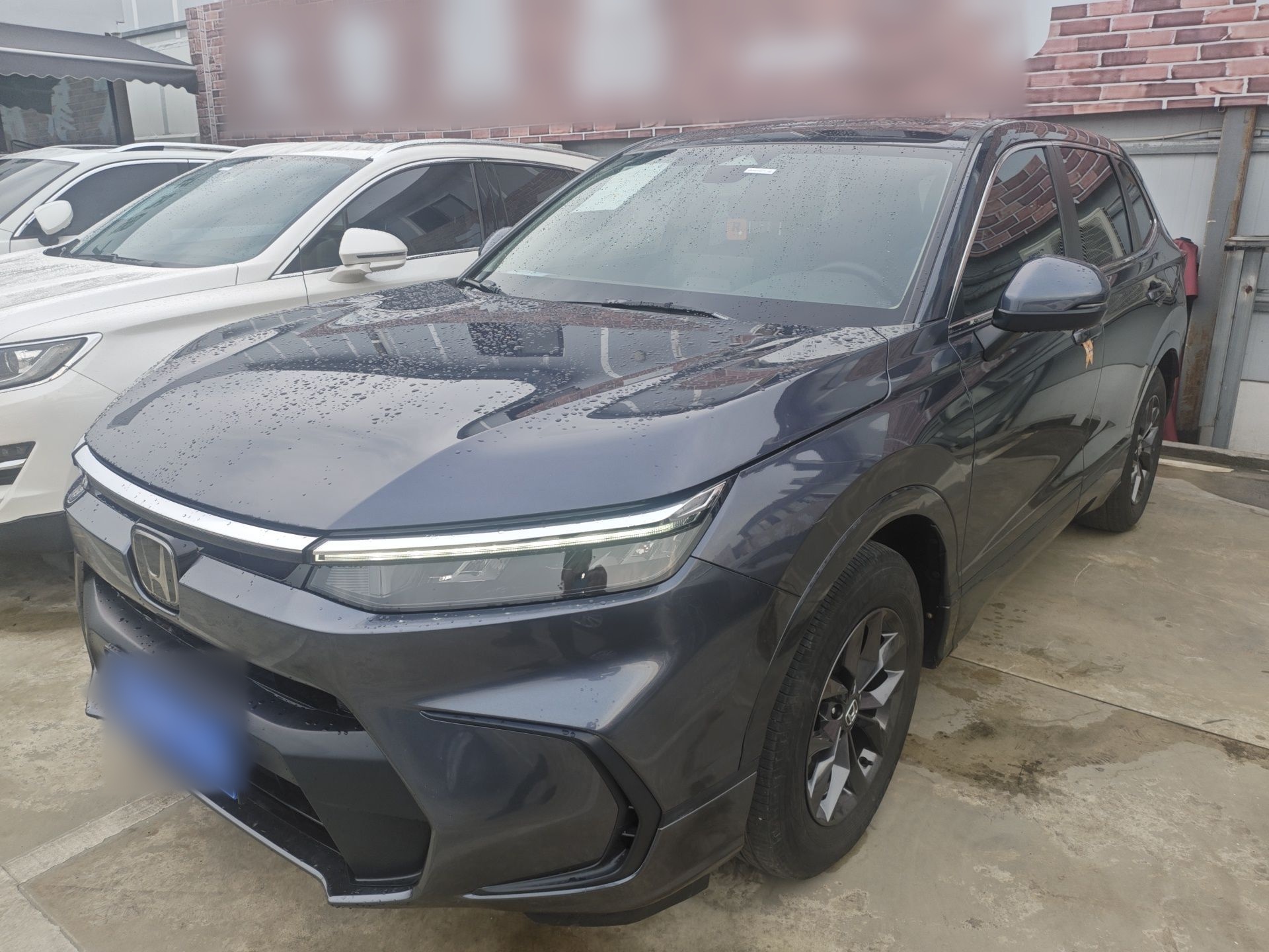 Parte inferior delantera