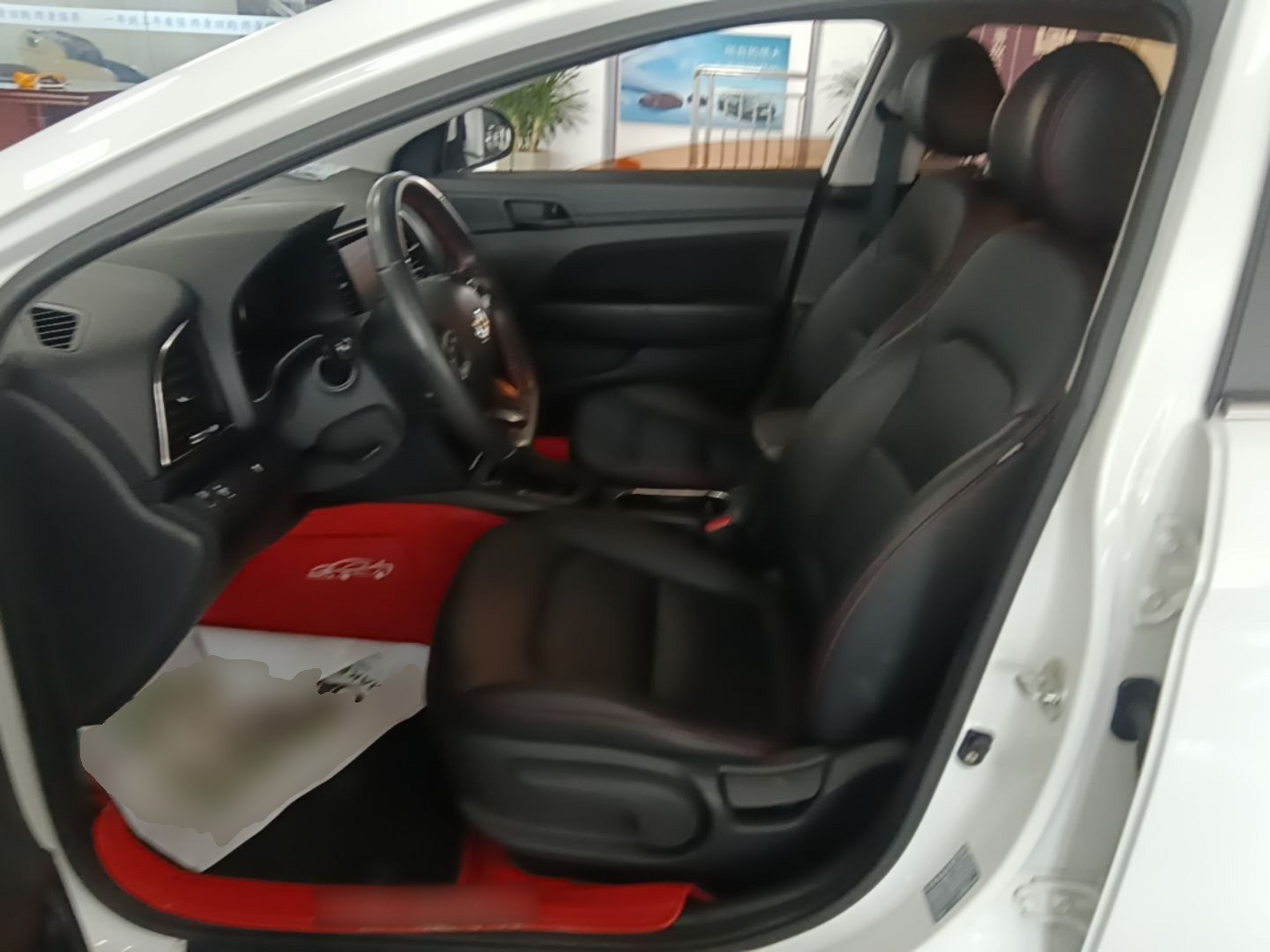 Interior delantero