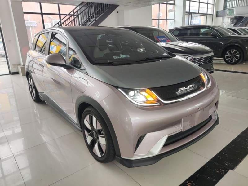 Used BYD Dolphin 2023 401km Knight Edition — 3