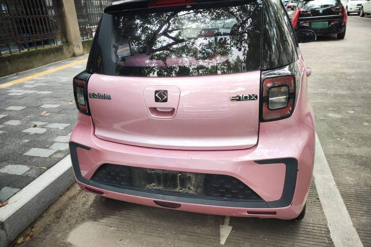 Used SOL E10X 2022 Flower Fairy Style Baby's Breath