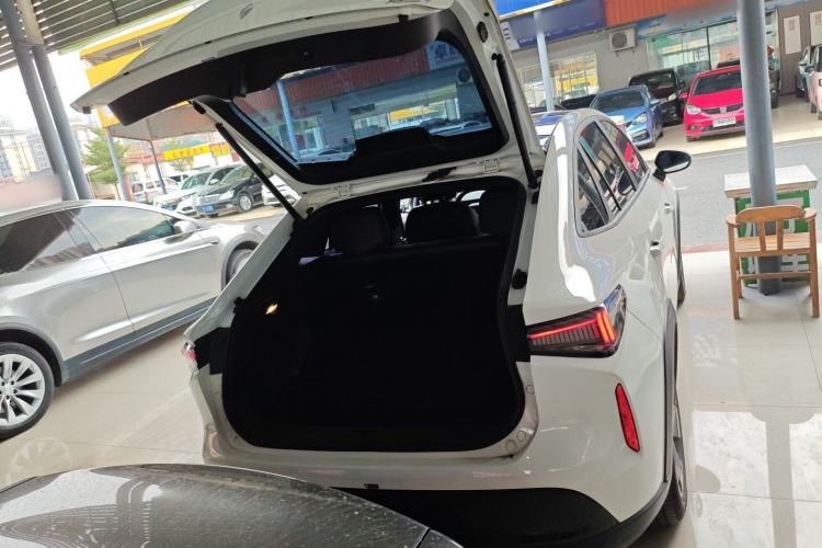 Used Livan Livan 7 2024 450 km Business Glory Edition