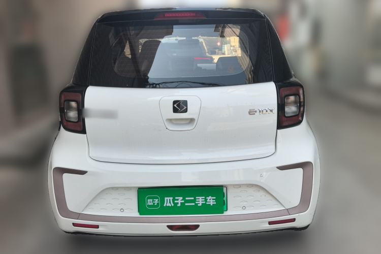 Used SOL E10X 2022 Flower Fairy Design Four-Leaf Clover Rear