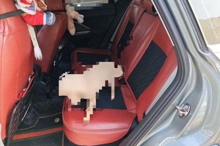 Used Audi Q3 2022 35 TFSI Progressive Dynamic Edition
