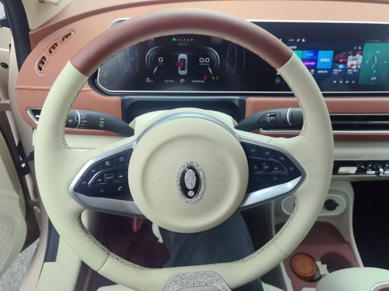 Used ORA Good Cat 2024 401 km Luxury Version 126 kW — 2