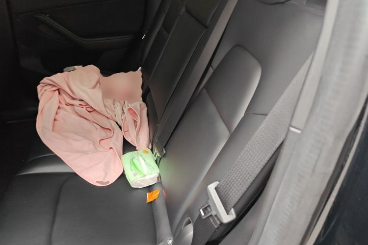 Used Tesla Model Y 2022 Revised Version Rear-Wheel Drive
