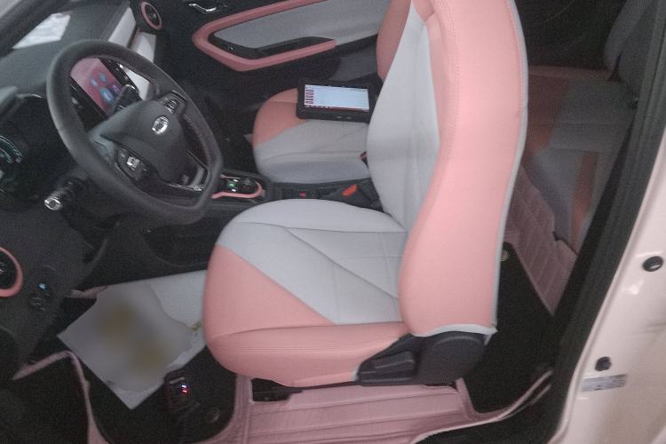 Used Chery New Energy Little Ant 2022 Sweet Pink Edition Half-Sugar Version Lithium Iron Phosphate 29.2 kWh 30 kW 301 km Left Front Seat