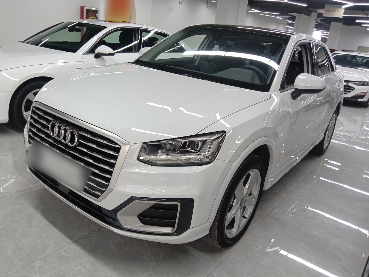 Parte inferior delantera