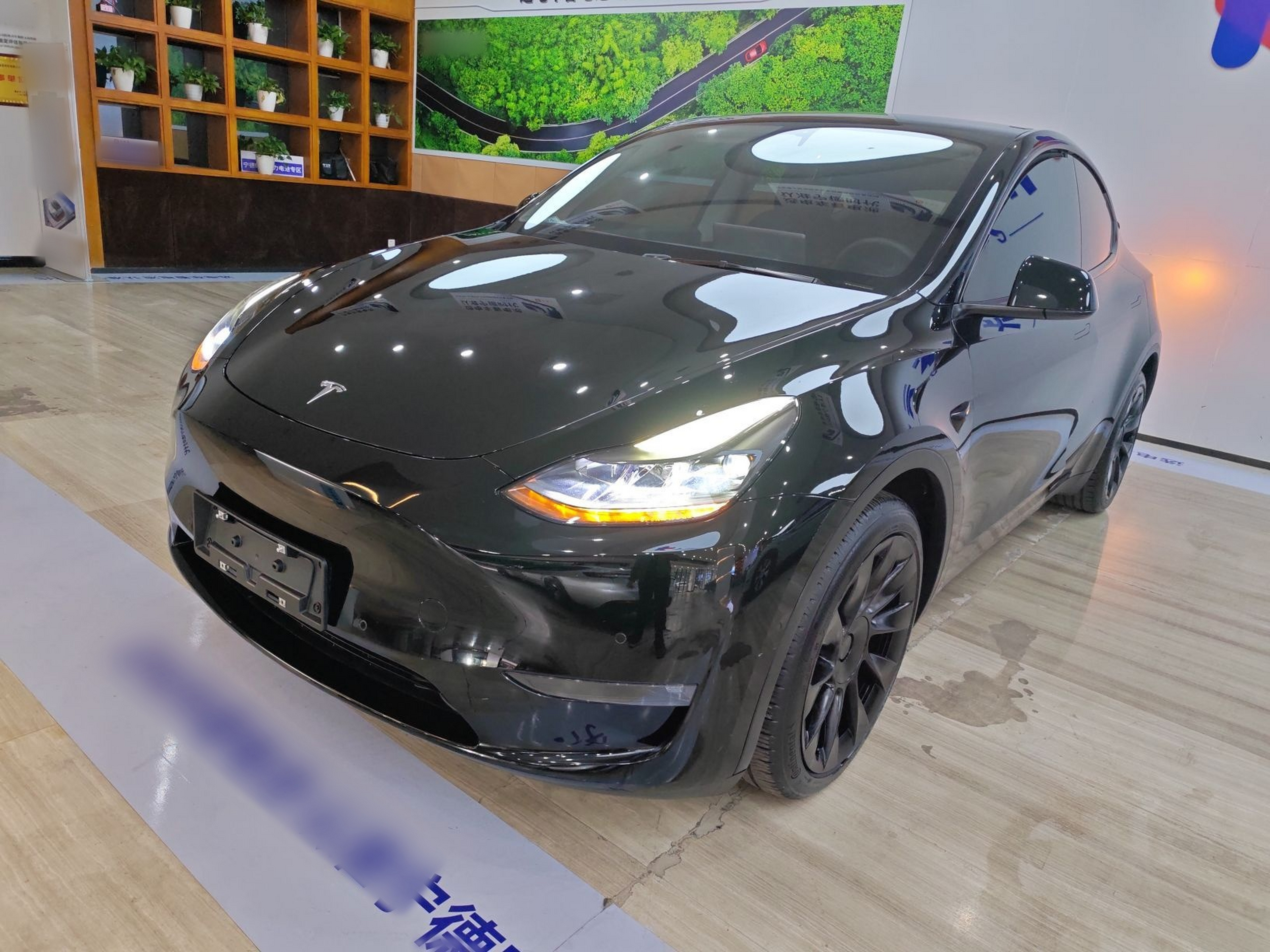 تحت مقدمة السيارة