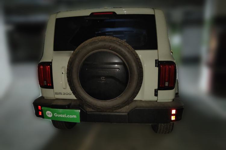 Used Tank 300 2024 2.0T Crosser
