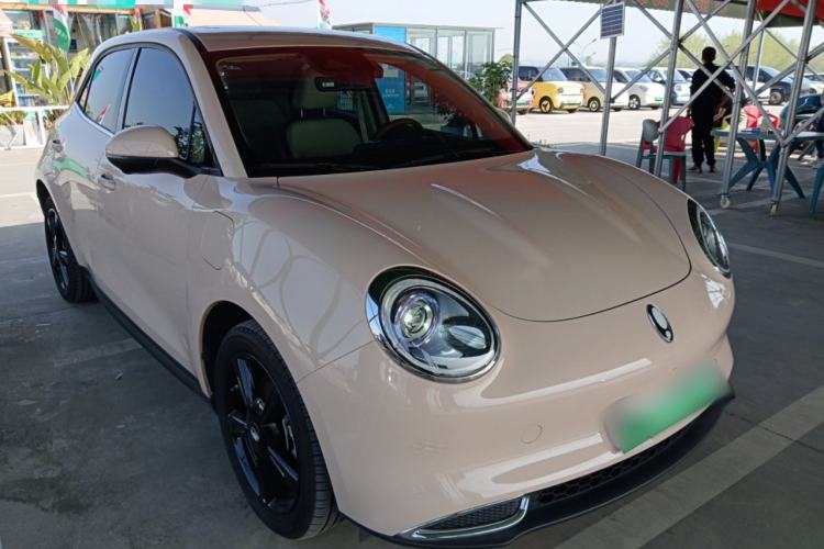 Used ORA Good Cat 2024 401 km Luxury Version