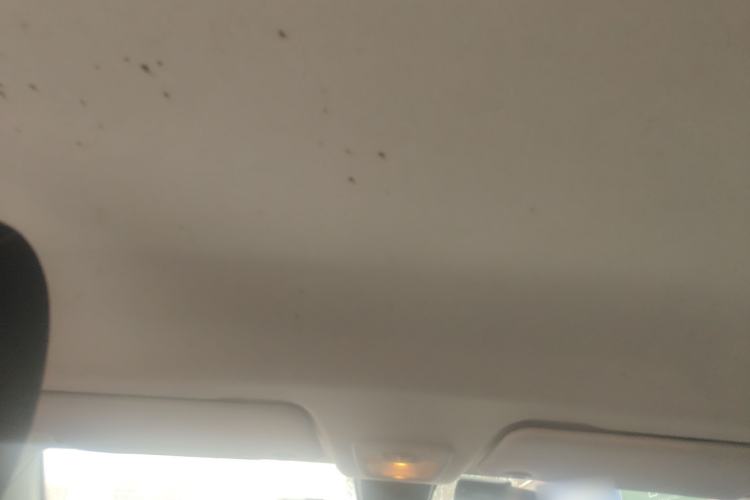 Used Baojun 530 2019 1.5T Manual Comfort Version 7 Seats China V Emission Standard
