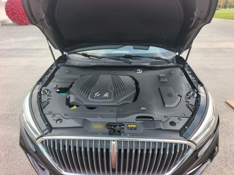 Used Hongqi H5 2018 30TD Smart Connect Dynamic Edition – Rhythm Sport — 10