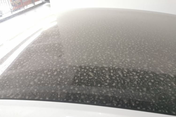 Used XPeng P7 2020 586N Roof