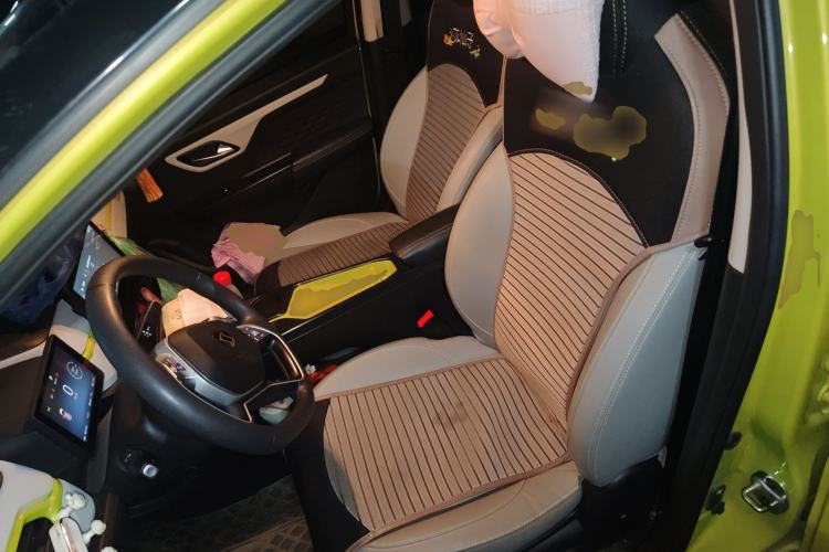 Used SOL E10X 2022 Flower Fairy Design Four-Leaf Clover