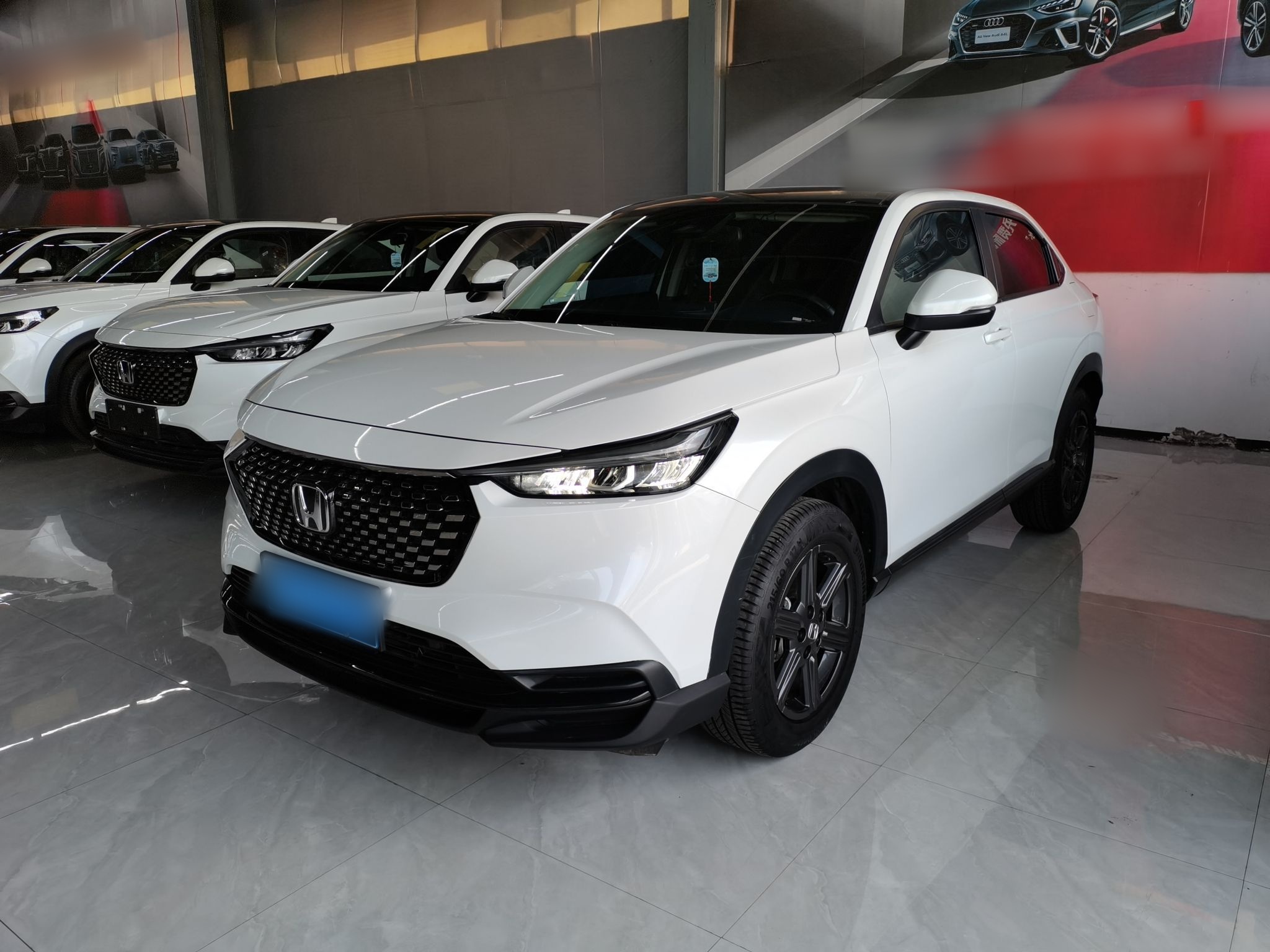 Parte inferior delantera