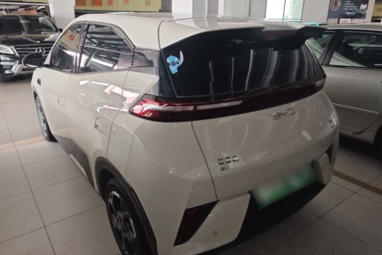 Used BYD Seagull 2025 Smart Drive Version 305 km Freedom Edition
