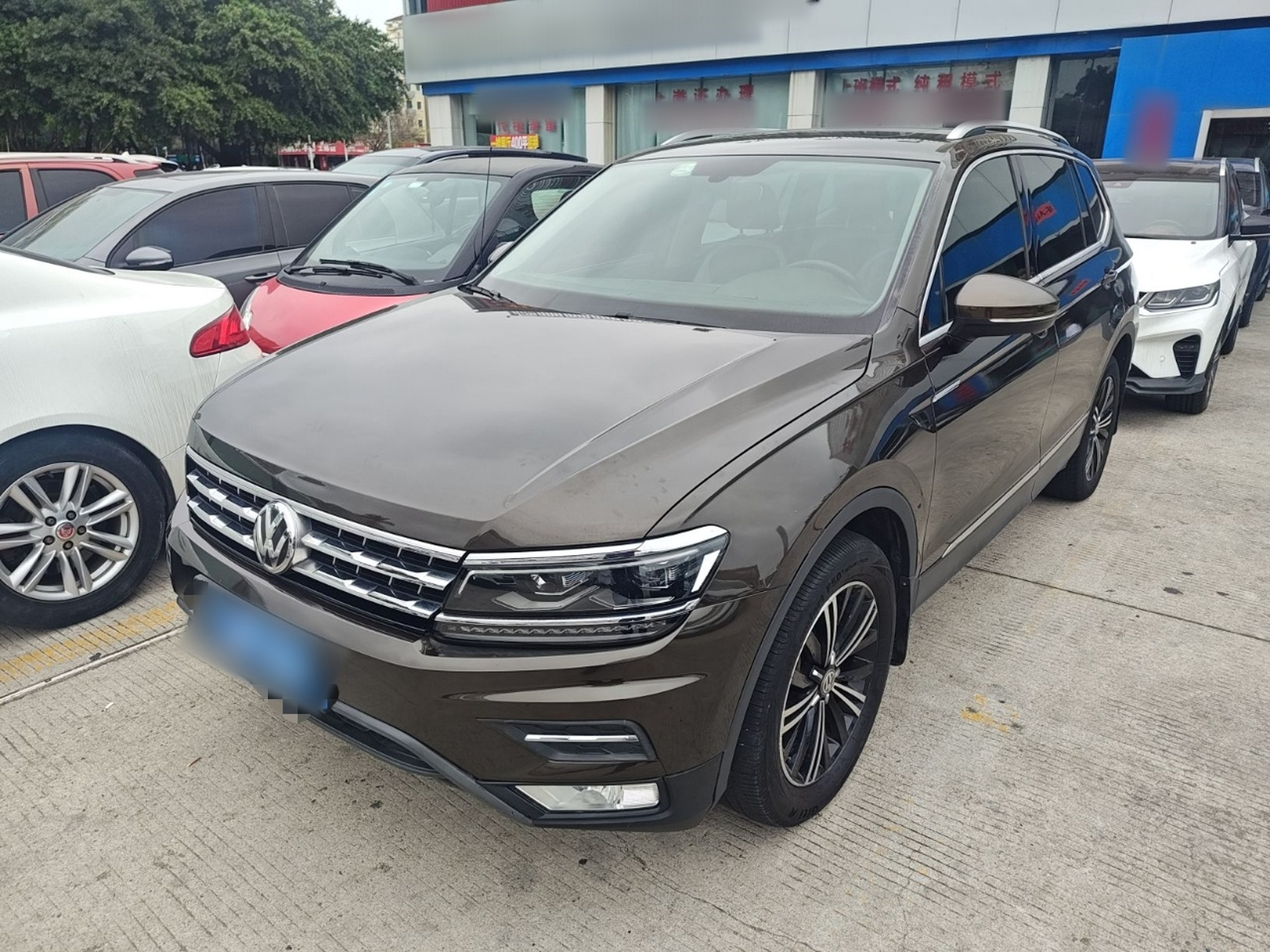 Parte inferior delantera