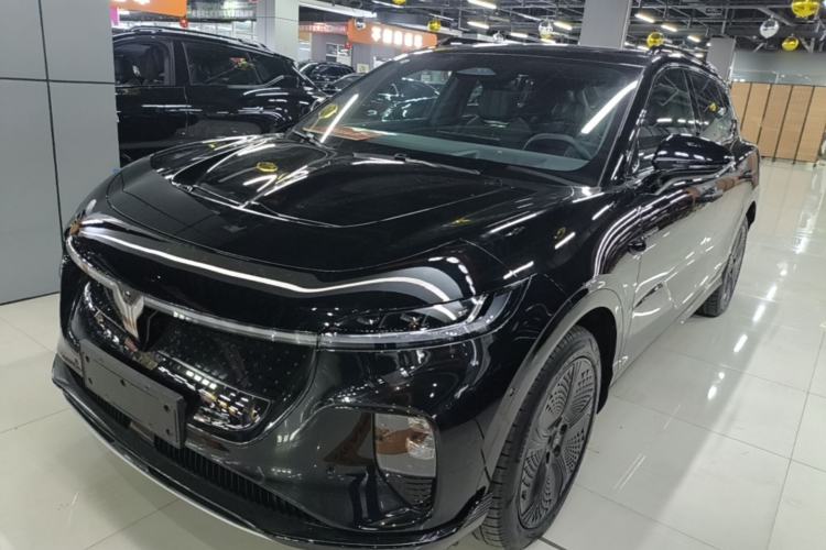 Used VOYAH COURAGE 2024 Four-Wheel Drive Global Edition