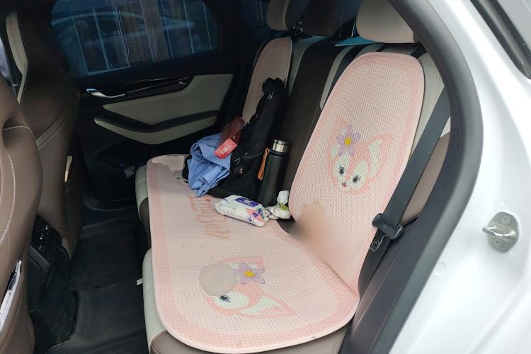 Used BYD Qin PLUS 2023 Champion Edition DM-i 55KM Leading Model Left Rear Seat