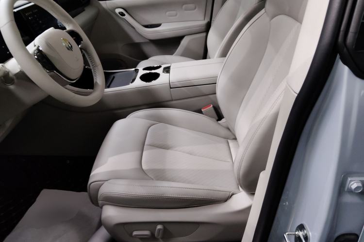 Used Leapmotor C11 2023 Pure Electric 500 Smart Edition