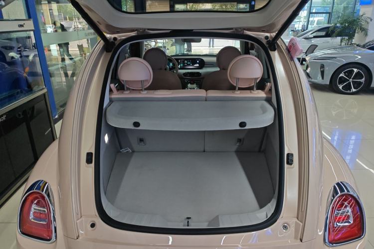 Used ORA Ballet Cat 2023 401 km Luxury Version
