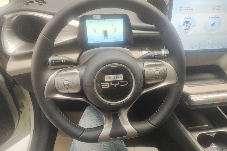 Used BYD Dolphin 2025 420km Free Edition