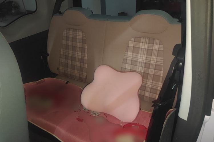 Used Chery QQ Ice Cream 2024 170km Sundae Left Rear Seat