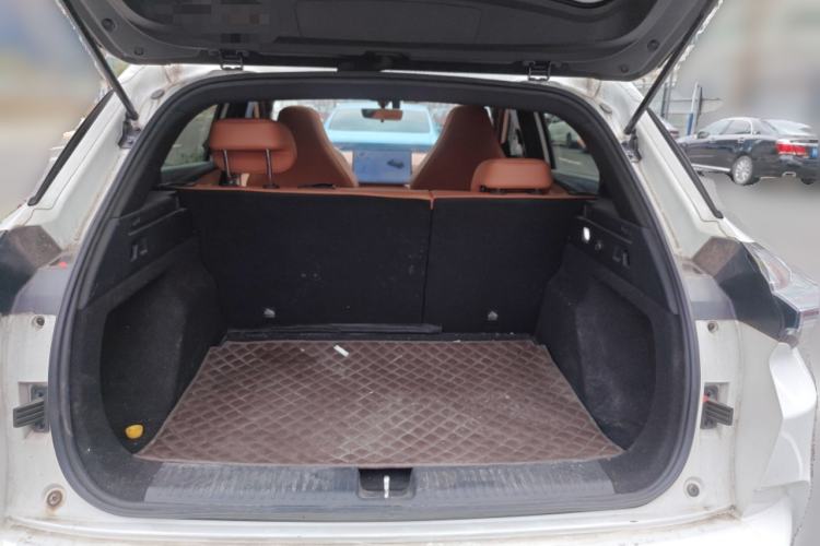 Used NETA X 2023 500