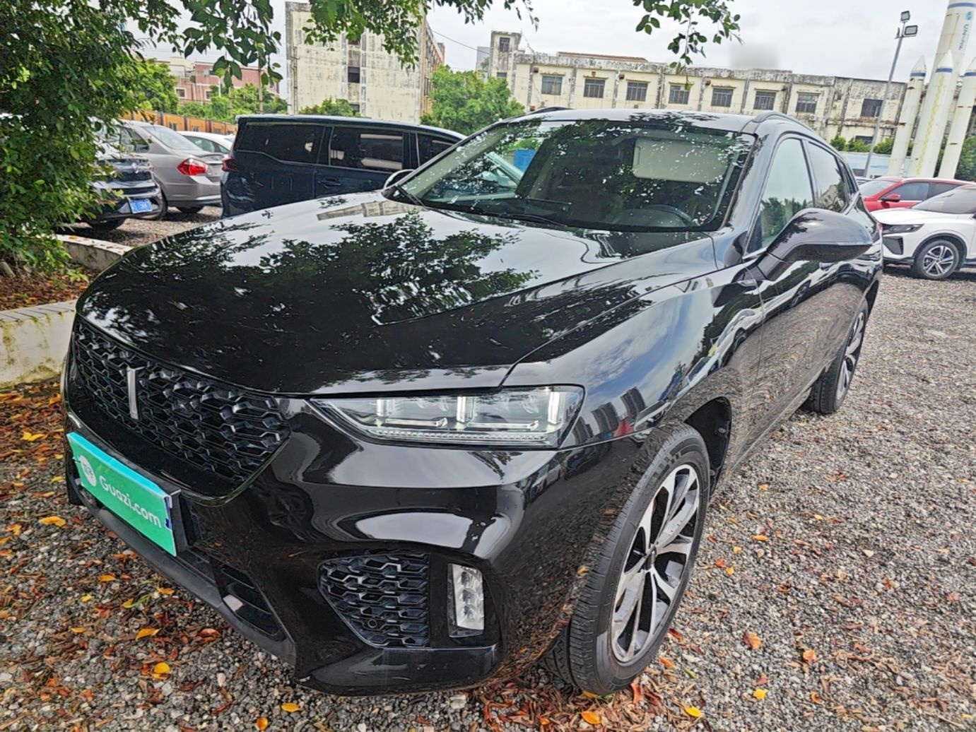 Under Front Bumper