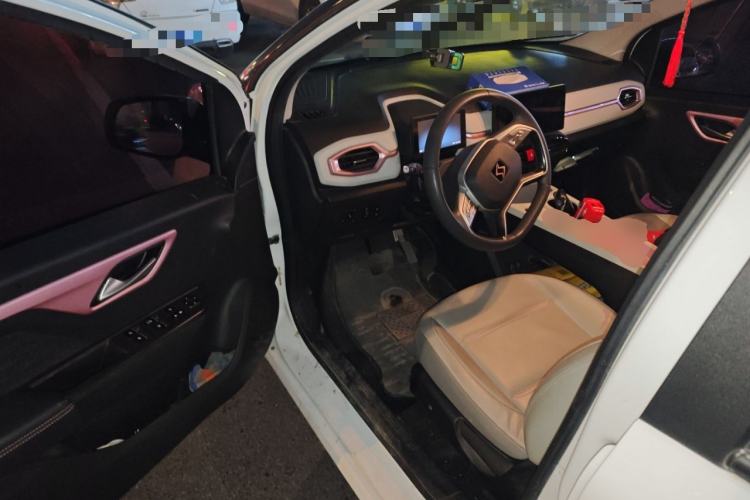 Used SOL E10X 2022 Flower Fairy Design Four-Leaf Clover Driver Seat