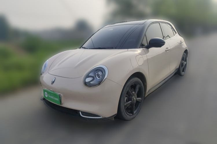 Used ORA Good Cat 2024 401 km Luxury Version