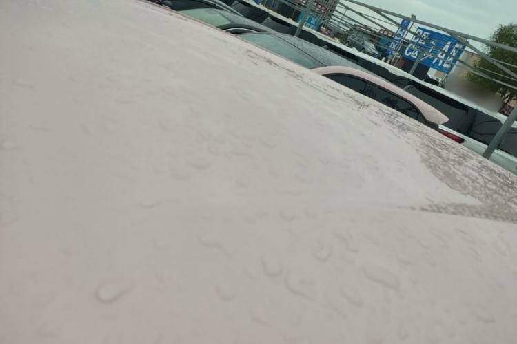 Used BYD Seagull 2025 Smart Drive Version 305 km Freedom Edition