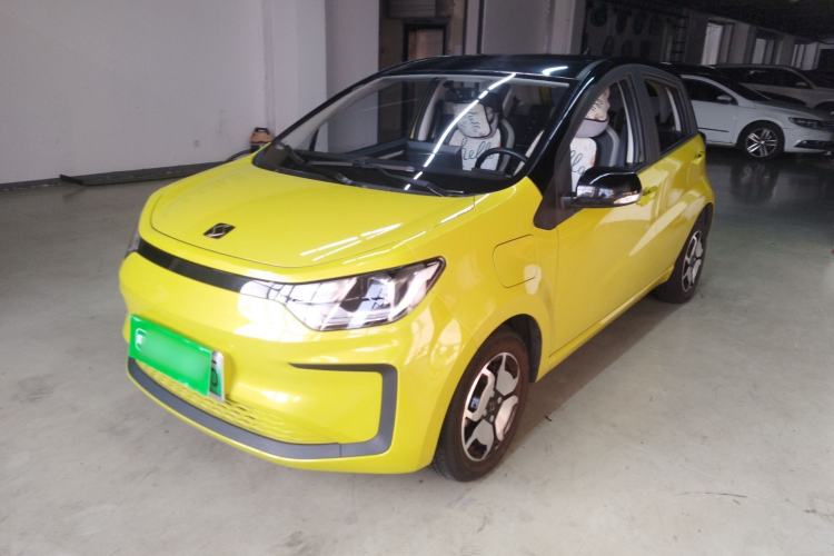 Used SOL E10X 2022 Flower Fairy Style Baby's Breath