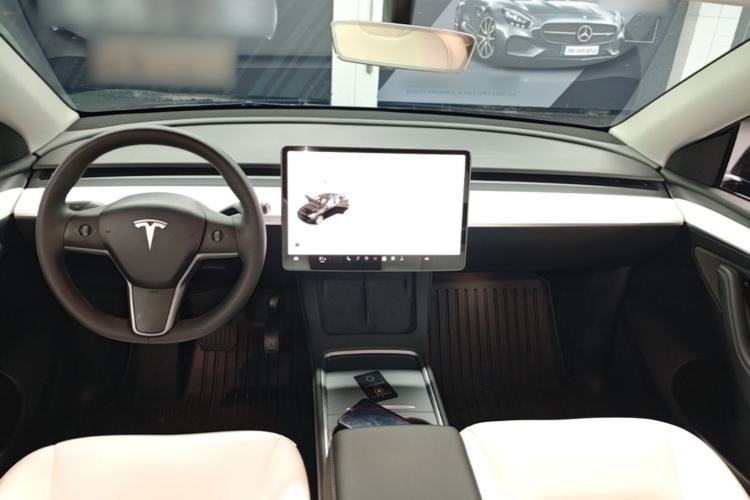 Used Tesla Model Y 2021 Standard Range Rear-Wheel Drive Version
