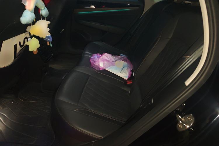 Used Volkswagen Passat New Energy 2020 430 PHEV Hybrid Luxury Edition China VI Standard Left Rear Seat