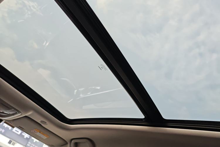 Used Wey Mocha New Energy 2022 1.5T Zero-Anxiety Performance Edition Headliner