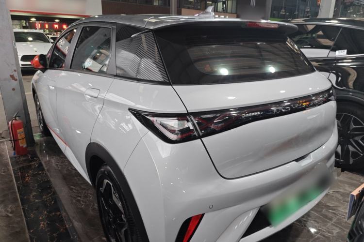 Used BYD Dolphin 2021 405 km Fashion Edition Rear Left 45 Deg