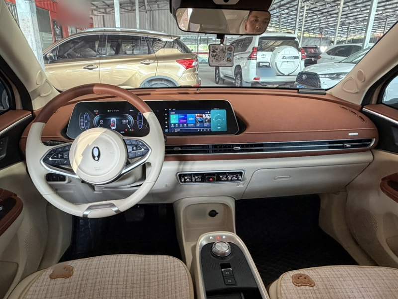 Used ORA Good Cat 2022 Morandi Edition 400km Standard Range Luxury Version Lithium-Ion Battery — 37