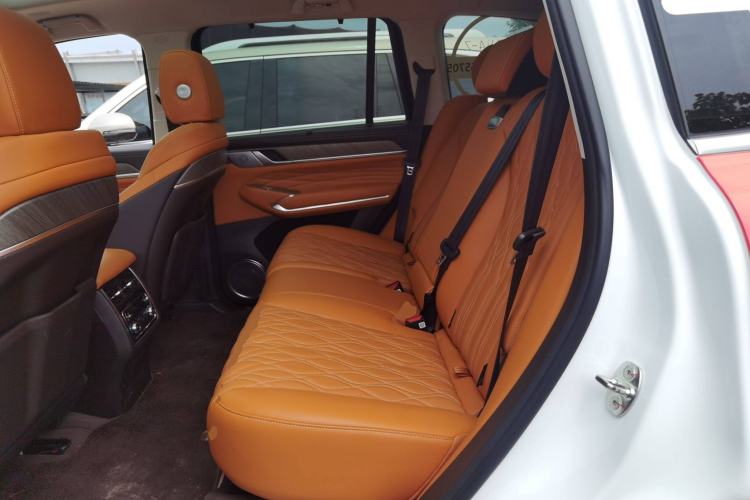 Used Tank 500 New Energy 2025 Hi4-Z