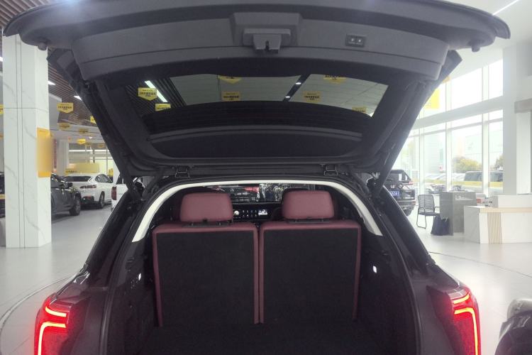 Used Hongqi E-HS9 2022 660 km Range Flagway Edition Six Seats Trunk