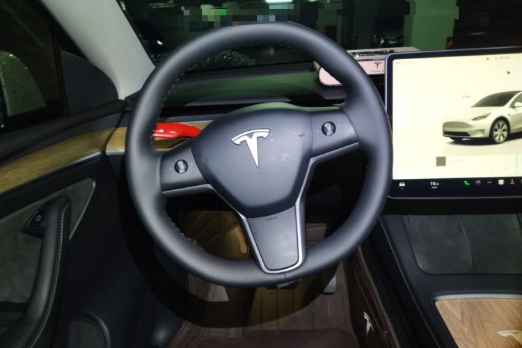 Used Tesla Model Y 2021 Revised Version 2 Long-Range All-Wheel-Drive Edition
